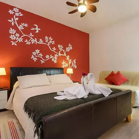 Shalom Apartamento